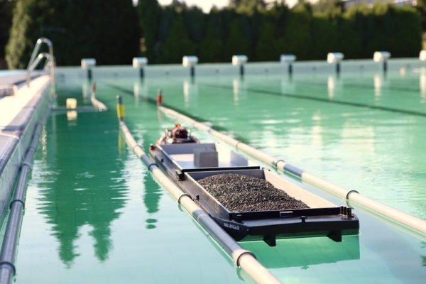 klikn�te pro zobrazen� p�vodn�ho obr�zku
 ============== 
