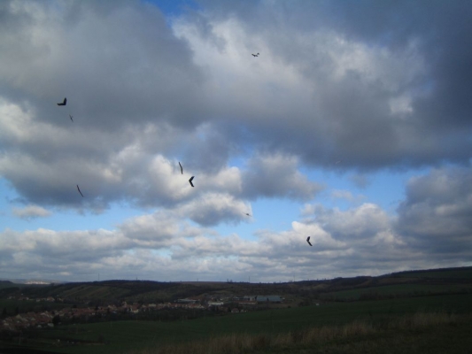 klikn�te pro zobrazen� p�vodn�ho obr�zku
 ============== 
N�m�any - velk� kombat 17.11.2008
