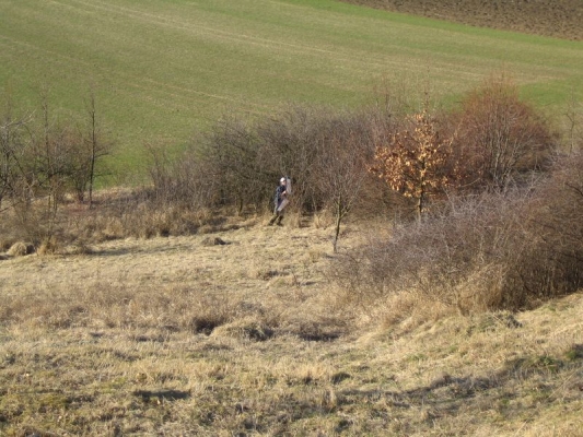 klikn�te pro zobrazen� p�vodn�ho obr�zku
 ============== 
